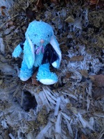 francois chillin on ice crystals