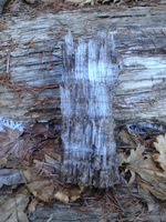 ice crystals 2016-01-01 14