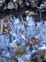 ice crystals 2016-01-01 14