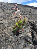 2019 oct 17 pahoehoe field along chain of craters road barefoot lava hopping 7