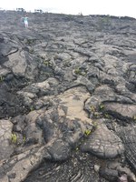 2019 oct 17 pahoehoe field along chain of craters road lin 3
