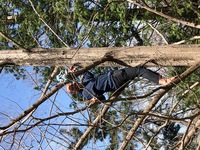 2020 mar 21 showa kinen park by yuna rob francois climbing tree 3