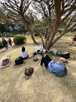 2020 mar 22 shinjuku gyoen meditation our little shaded area