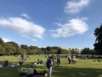 2020 oct 24 beautiful day