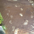 2020 aug 17 i walked carefully across this slippery muddy tile