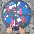 2020 dec 26 machida kingfisher manhole cover