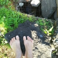2020 jun 02 overlooking a stream