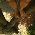 2020 jun 11 bare feet among fallen leaves