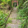 2020 jun 18 i was going to climb but there s an active spider web spanni