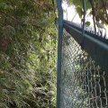 2020 jun 23 i walked along this narrow row of cinder blocks along this f