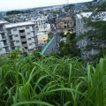 2020 jun 23 nice view from the corner