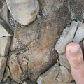 2020 jun 24 woven mesh inside broken concrete