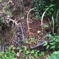 2020 jun 27 plastic trays on hillside