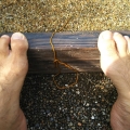2020 jun 29 wow long worm