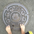 2020 may 28 camellia manhole cover