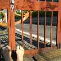 2020 may 29 old gate closeup