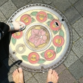 2020 may 30 colorful camellia manhole cover