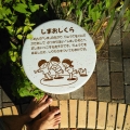 2020 nov 04 shima oshikura game plaque