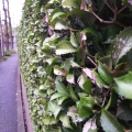 2020 oct 15 now that s a sharp looking wall