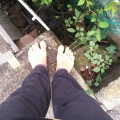 2020 oct 19 steep step