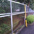 2020 oct 20 we need a taller fence