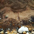 2020 sep 08 yesterday s footprint after rain