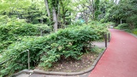 2021 jun 24 pre manpukuji hayama park path