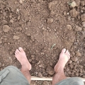 2021 jul 26 bare feet on brown soil