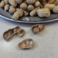 2021 nov 23 wow steamed peanuts are great