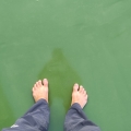 2021 nov 27 green floor on the roof