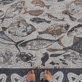 2021 nov 30 barefoot on fish mosaic floor