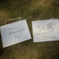 2021 oct 21 clear moonlight joy whiteboards on grass