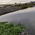 2021 oct 25 river with train bridge at dusk