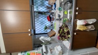 2022 02 01 160626 lettuce document the kitchen