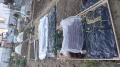2022 02 01 155117 garden lettuce