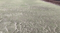 2022 mar 19 wavy grassy lines