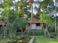 2024 01 21 back garden