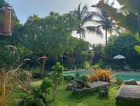 2024 01 21 front garden pool