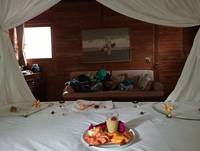 2024 01 23 bed with francois on couch