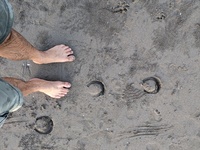 2024 01 29 bare foot hoof prints