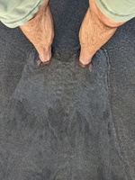 2024 01 29 sandy feet