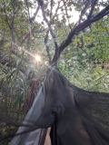 2024 oct 14 feet in mosquito net hammock