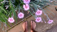 2024 apr 28 barefoot rob feet and flowers 1000