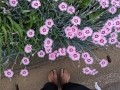 2024 apr 29 bare feet below flowers