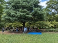2024 aug 25 tarp