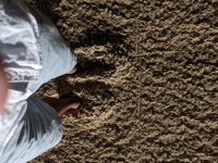 2024 mar 16 feet in new zamboni sand 1000