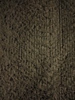 2024 mar 16 new zamboni sand 1000