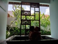 2024 oct 04 bali smoochie smoo 1000