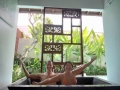 2024 oct 04 bali yayyyy in tub