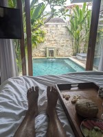 2024 oct 13 bread in bed by pool 1000